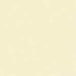 SANDERSON PAINT NEUTRAL  22